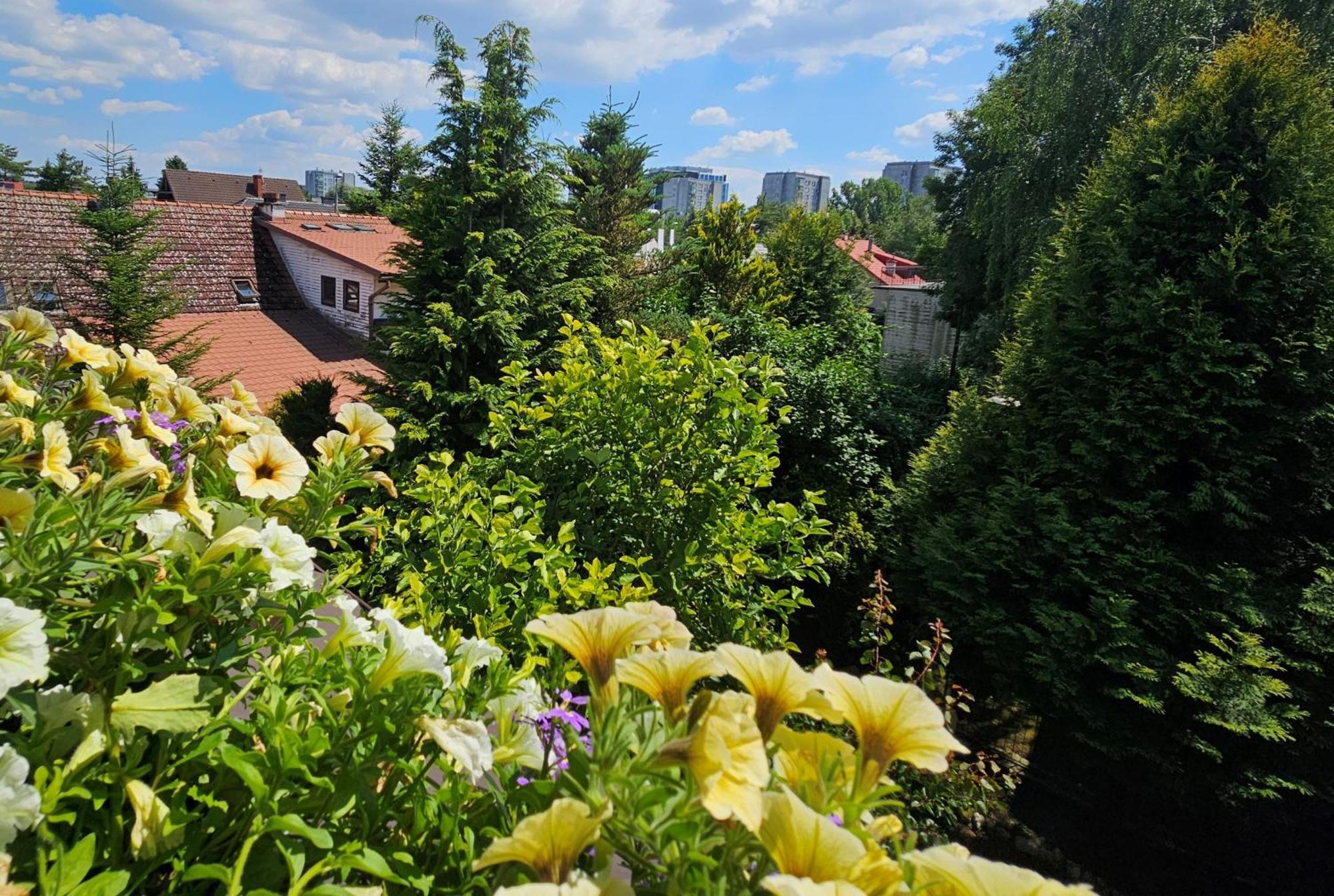 Park Apartment Краков Экстерьер фото