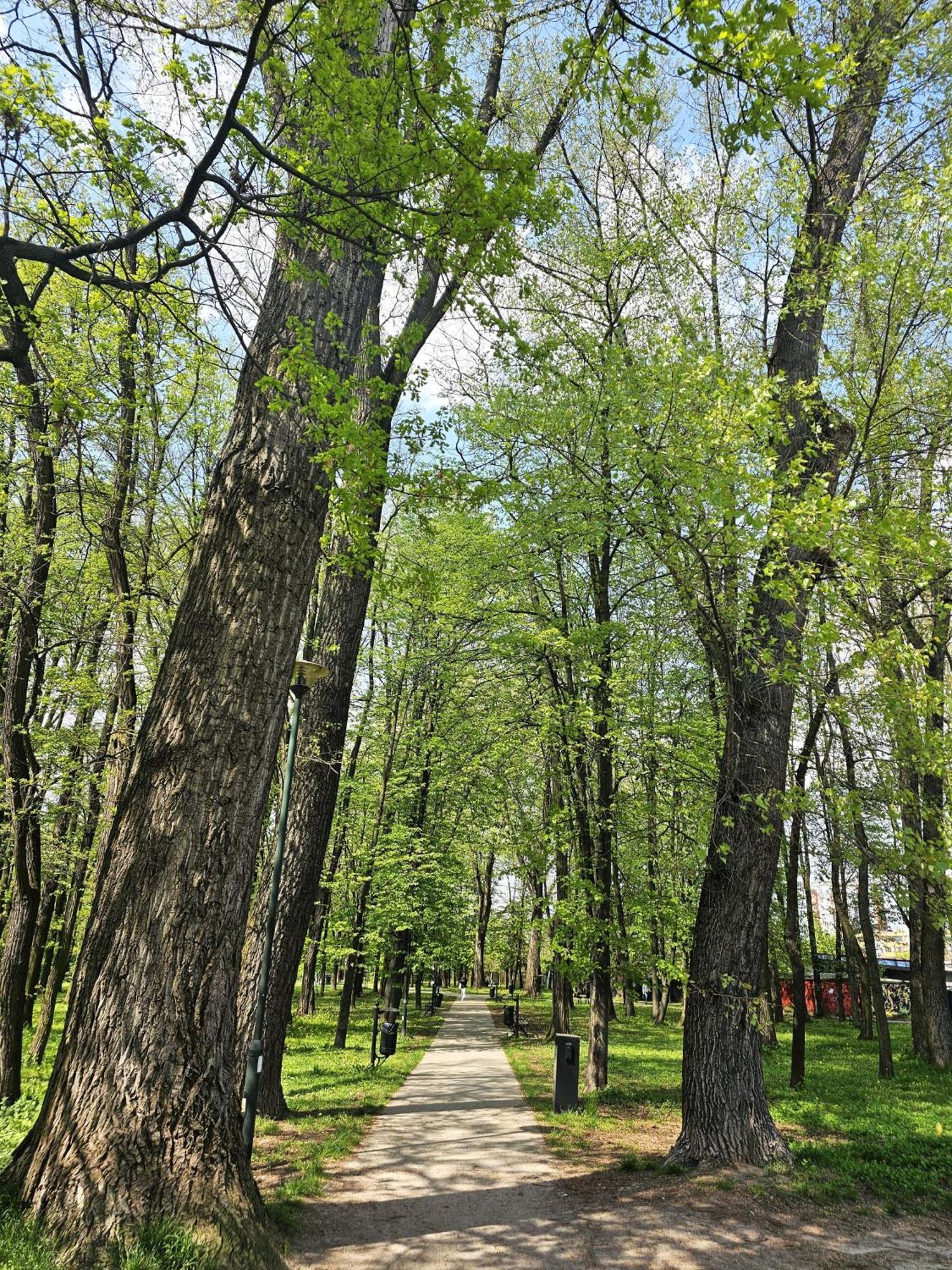 Park Apartment Краков Экстерьер фото